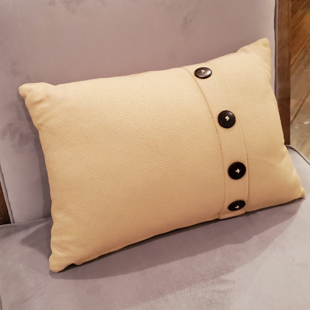 World Market throw pillow